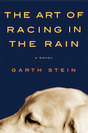 Tha Art of racing in the rain